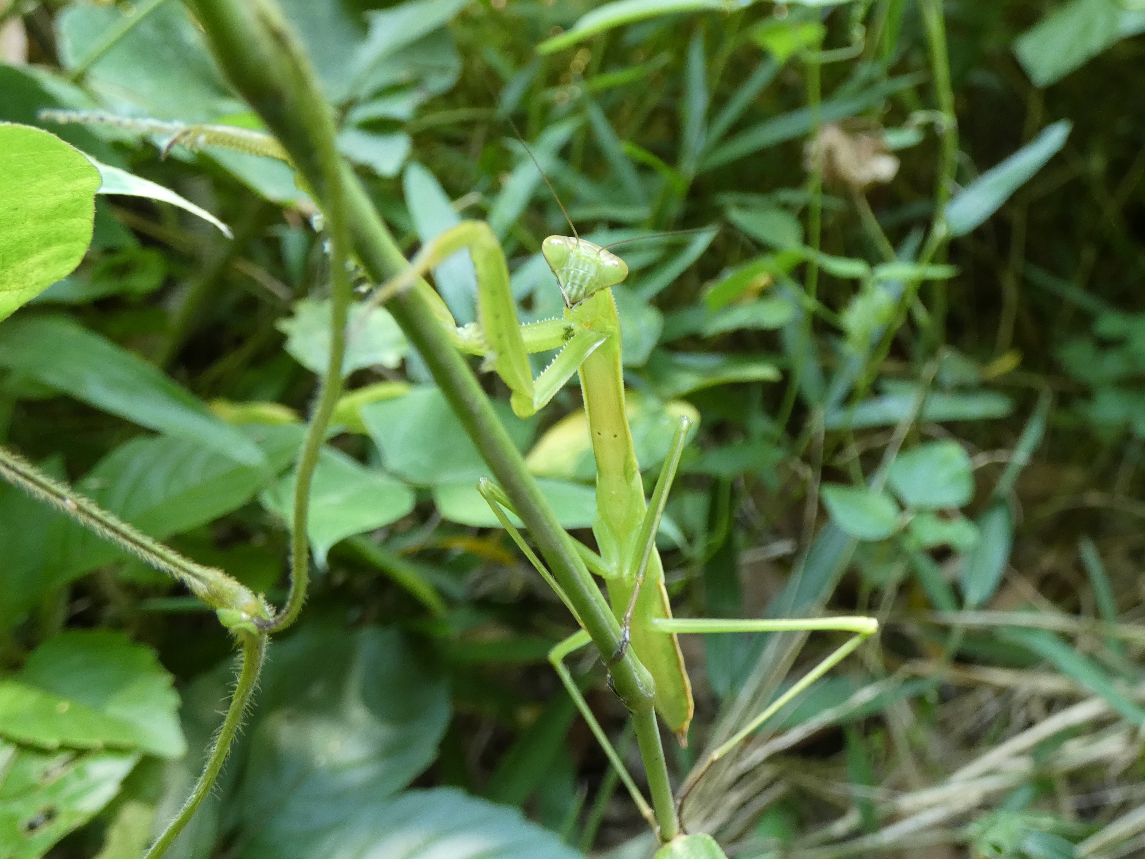 photo_2